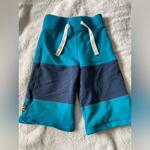 Boys shorts size 5 peekaboo beans